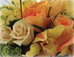 Florist in santa barbara, california. White House Florists Home Facebook