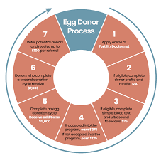 Be a nonsmoking woman between the ages of 18 and 32 in good medical health. Egg Donation Center For Reproductive Health