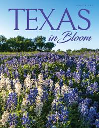 The national mall's live webcam is here. The Texas State Florists Association