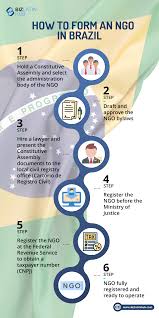 How To Form An Ngo In Brazil In 2020 Brazil Ngos Informative