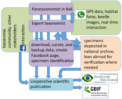 Facebook is showing information to help you better understand the purpose of a page. Taxonomy And Biogeography Without Frontiers Whatsapp Facebook And Smartphone Digital Photography Let Citizen Scientists In More Remote Localities Step Out Of The Dark Abstract Europe Pmc