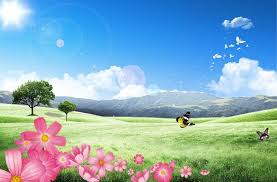 beautiful natural scenery in spring beautiful nature pictures scenery wallpaper natural scenery