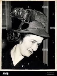 Eileen house hi-res stock photography and images