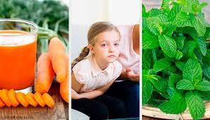 5 Remedios Naturales Para Combatir Las Lombrices Intestinales