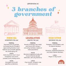 The three branches of U.S. government are the legislative, executive, and  judicial branches. The legislative branch makes laws, the executive branch  enforces laws, and the judicial branch interprets laws. This separation of