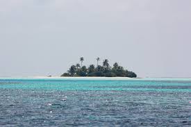 Check spelling or type a new query. Vacanta In Maldive Pe Cont Propriu BascheÈ›i CÄƒlÄƒtori