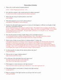 Photosynthesis Worksheet Answer Key Awesome Synthesis Worksheet 1 What Is The Overall Equati Photosynthesis Worksheet Persuasive Writing Prompts Photosynthesis