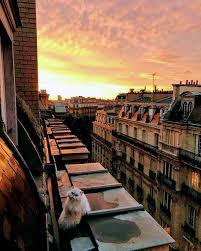 A paris, le samedi 28 mars 2015, le lever du soleil aura lieu à 06h38. Le Chat Et Le Coucher De Soleil Paris Paris De Mes Amours Facebook