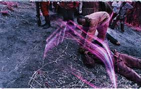 Since it is infrared, that means that there are no real purple fields in the congo. Richad Mosse The Enclave