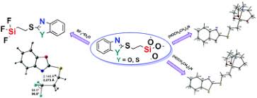 Read novels on wuxiaworld app to get： offline reading ( totally a data saver! The Synthesis Characterization And Theoretical Analysis Of Novel Si Substituted Silylethyl Derivatives Of 2 Mercaptobenzoxazole And 2 Mercaptobenzothiazole New Journal Of Chemistry Rsc Publishing
