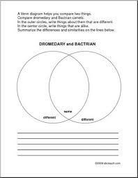 The bactrian camel has two humps. Venn Diagram Camels Abcteach
