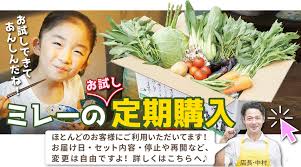 食材宅配 有機野菜 無農薬野菜 無添加食品 定期宅配 通販 なら ミレー