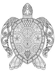 Pin On Best Coloring Pages Ideas For Kids And Adult