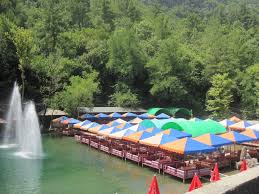 Three ducks #shorts duck dimcay alanya turkey утки на реке димчай. Holidaycheck Turkei Alanya Ausflug Reisen