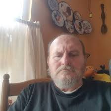 What type of bird is hanging out over my neighbor's chickens?