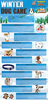 Infographic Winter Dog Care Dog Care Dog Care Tips Winter Dog