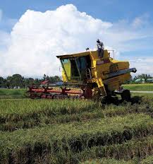 Malaysia's economic performance expanded to 5.9 per cent in 2017 as compared to 4.2 per cent in 2016. Https Documents1 Worldbank Org Curated En 617611574179512389 Pdf Agricultural Transformation And Inclusive Growth The Malaysian Experience Pdf