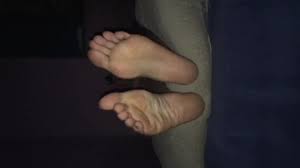 Look Around | Darwin Forest