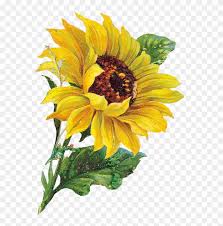 Free Free 202 Sunflower Corner Border Svg SVG PNG EPS DXF File