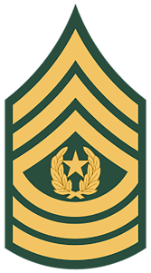 Below is a list of the army ranks for enlisted soldiers, warrant officers, and officers. U S Military Rank Insignia