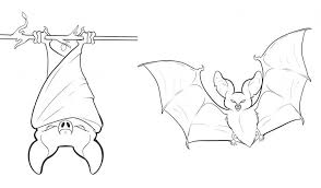 Free Printable Bat Coloring Pages For Kids Bat Coloring Pages Cute Bat Animal Coloring Pages