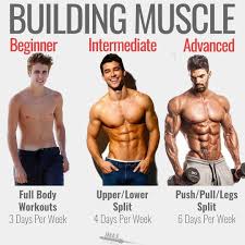 Build Muscle Increase Muscle Mass Gain Muscle Muscle Gainers Best Muscle Gainer Dianabol Bes Weight Training Programs Full Body Workout Ectomorph Workout