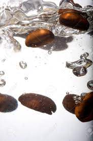Check spelling or type a new query. Coffee Beans Are Steeped In Water Macro Stock Photo Picture And Royalty Free Image Image 15542024