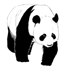 Comment Dessiner Un Panda Panda Dessin Comment Dessiner Un Panda Comment Dessiner