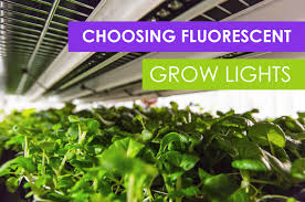Get the best deals on fluorescent tube grow light kits. How To Choose Fluorescent Grow Lights For Your Farm Upstart University