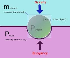 What Is Buoyancy Buoyancy Force More Dense Than Fluid Will Sink Fluid Dynamics Science Classroom Science Experiments