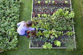In this video i show you how to build a simple easy to install backyard compost bin. How To Make A Compost Pile Best Way To Start Composting