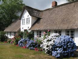 Page Not Found Germany On Your Mind Com Insel Sylt Sylt Wattenmeer