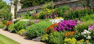 We did not find results for: The Herbaceous Border Oxford Botanic Garden And Arboretum