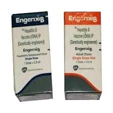 Pharmacology, adverse reactions, warnings and side effects. Engerix B Vaccines Buy Engerix B Vaccines In Mumbai Maharashtra India From Csc Pharmaceuticals International
