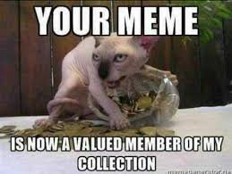 Your Meme Is Now A Valued Member Of My Meme Collection Funny Animal Pictures Funny Memes Funny Animals