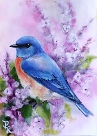 Daily Paintworks Dainty Purples Aceo Original Fine Art For Sale C Paulie Rollins Birds Painting Watercolor Bird Bird Art