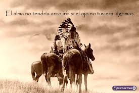 We did not find results for: 80 Proverbios Sabios De Indios Nativos Americanos