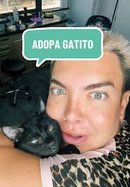 Adopta un gatito al + 569 47444770 #gatito #gato #baltazar #adopcion  #gatito #maui #gatos