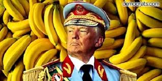 Jamie Raskin (D-MD): "[T]here are now banana Republicans who will ...