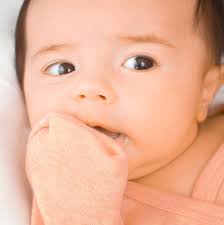 Hannah Dawn Photography