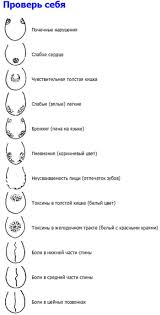я знаю о весе все и даже больше скачать Ekologiya Zdorovya Znaete Li Vy Chto Yazyk Eto Ne Tolko Organ Vkusa I Rechi No I Vernyj Otpechatok Vnutrennego Sostoya Health Fitness Body Health Sports Health