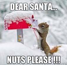 More Awesome Santa Memes Christmas Animals Animal Valentine Christmas Memes