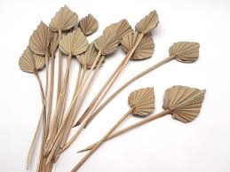 Pin Auf Driedflowers Gov
