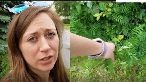 Bird Vetch with Steven Seefeldt