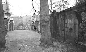 Newsletter for The Clan Cargill