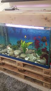 400 Lt Palet Stand And Top Aquarium Aquarium Unterschrank Aquarium Schrank Schrank Bauen