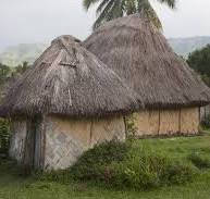 Thatched roofs are used for the big houses, kitchens, and ...