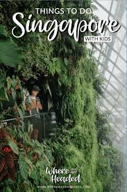 Top Things To Do In Singapore With Kids Singapore With Kids Singapore Travel Things To Do