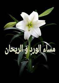 pin on بالعربي