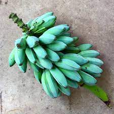 Blue Java Bananas Taste Just Like Vanilla Ice Cream And Now You Can Grow Your Own Blue Banana Fruit Plants Vanilla Ice Cream